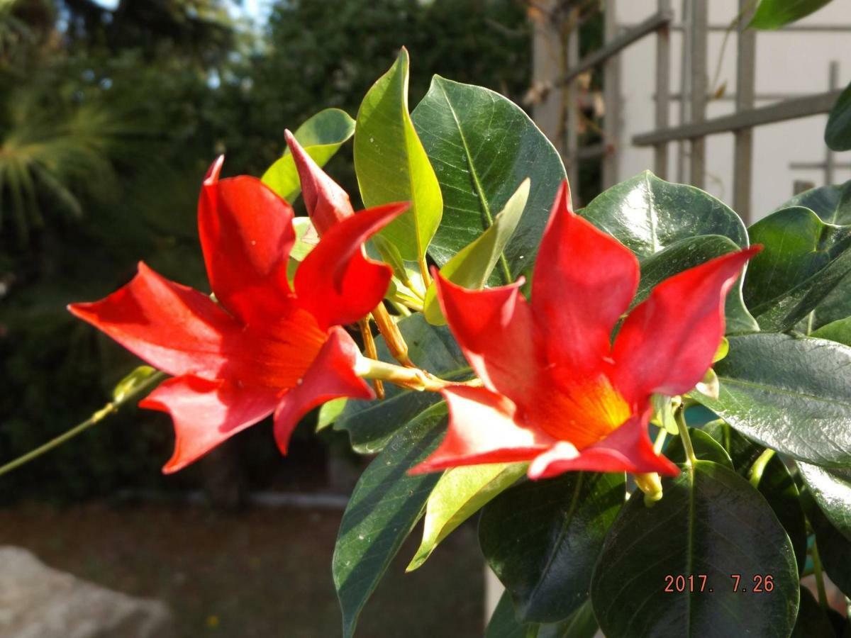 Cassano Magnago B&B Artistic House מראה חיצוני תמונה